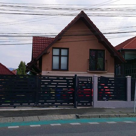 Haffner Studio Cluj-Napoca Eksteriør bilde